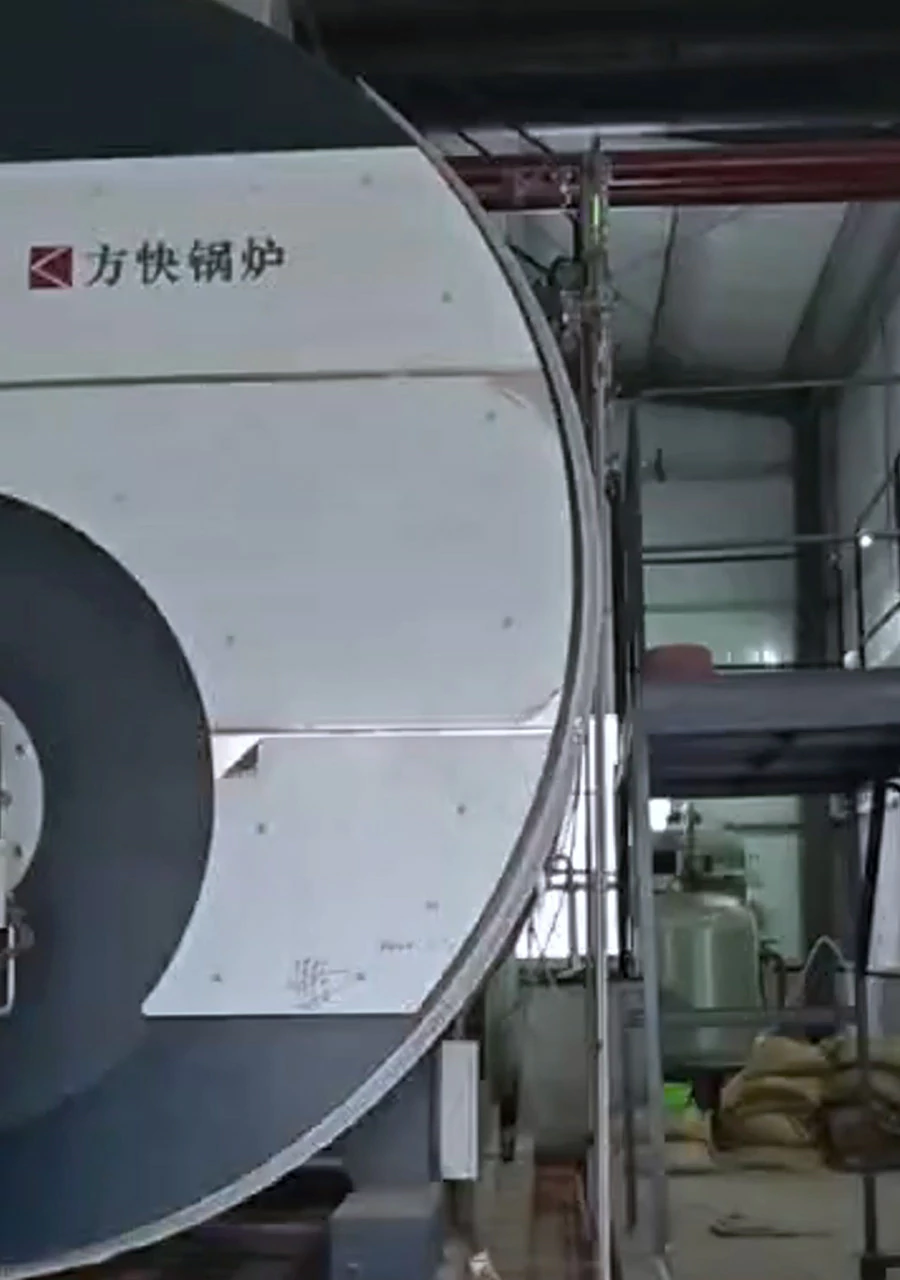 Low-nitrogen condensing steam boiler