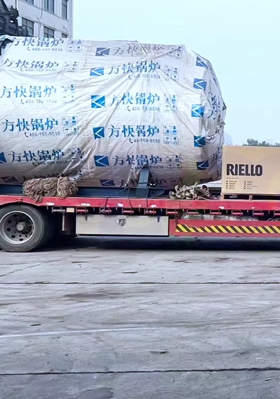 Gas steam boiler