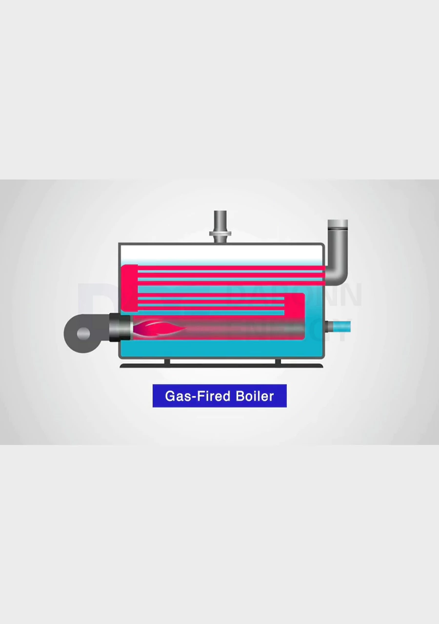 Natural gas boiler