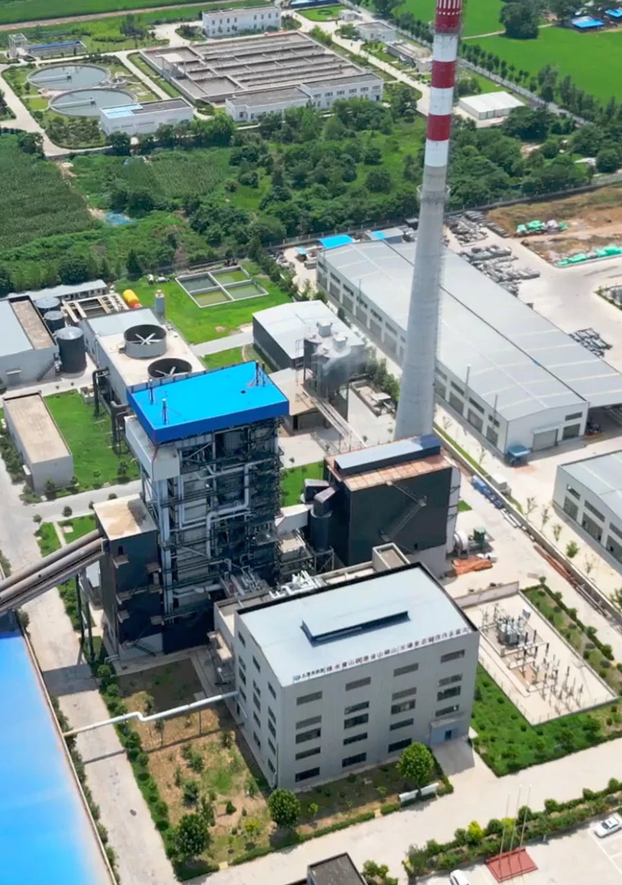 Biomass power generation
