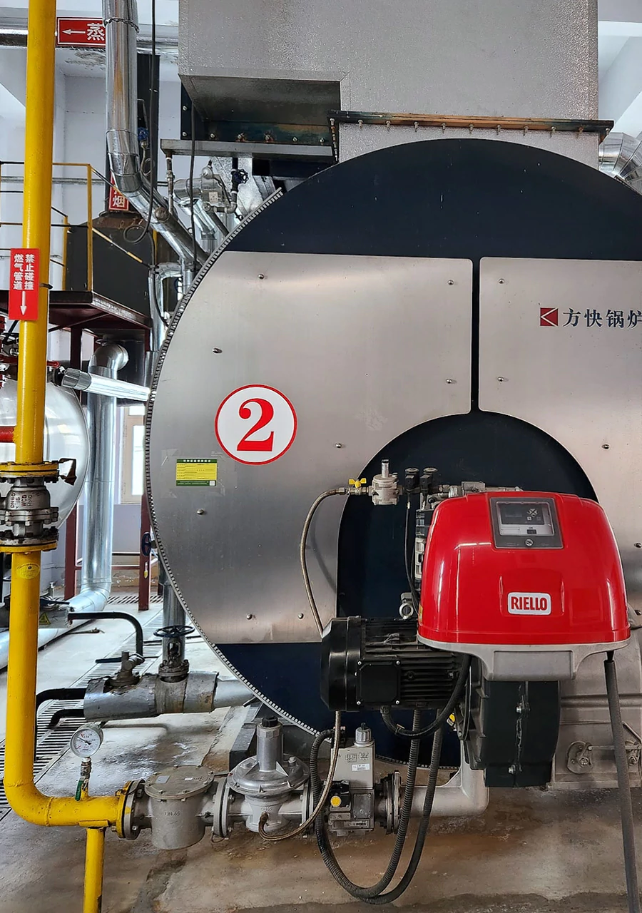 FGR steam boiler