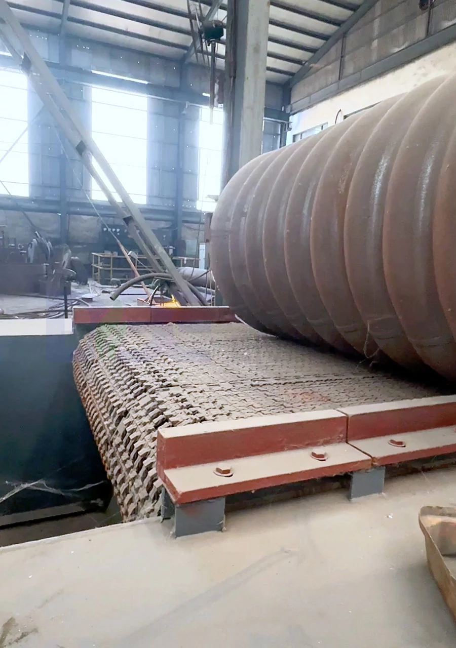 DZLbiomassboiler