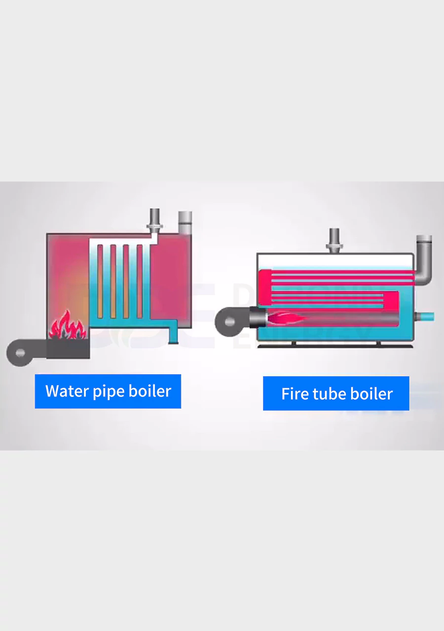 Water tube boiler