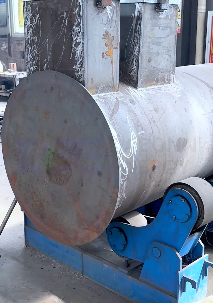 Biomass steam generator